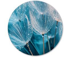 Paardenbloemzaden met waterdruppels - Dandelion wandcirkels - Ronde wanddecoratie nature - Hyperrealisme - Metalen wandkunst rond - Hedendaagse schilderijen - muurcirkel aluminium 40x40 cm