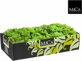 Decoratie/hobby mos groen 500 gram - Decoratie materialen bloemstukjes