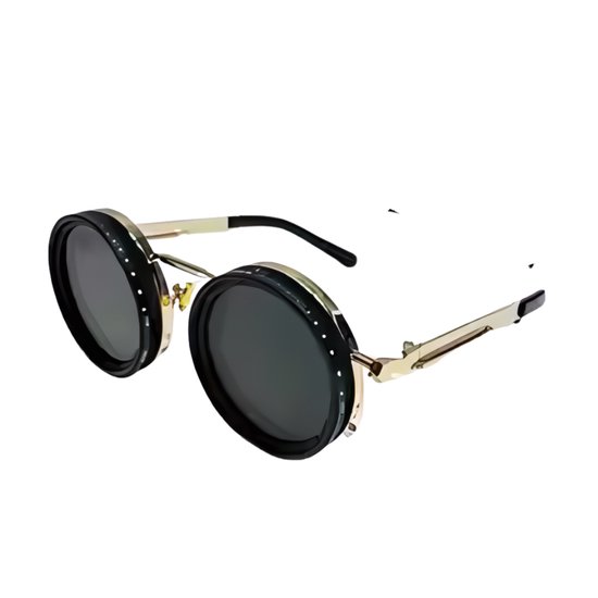 Lunettes de soleil polarisées rondes Mookes, verres teintés réglables de 1 à 9 vitesses avec filtre ND, Gold