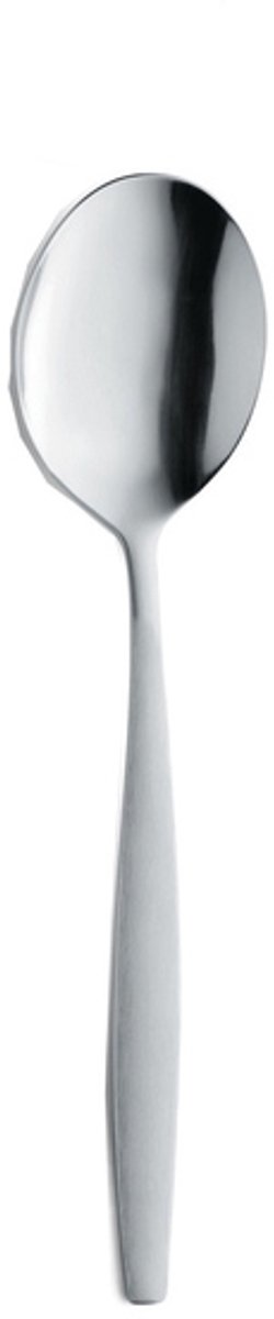 koffielepel 16 cm 12 stuks