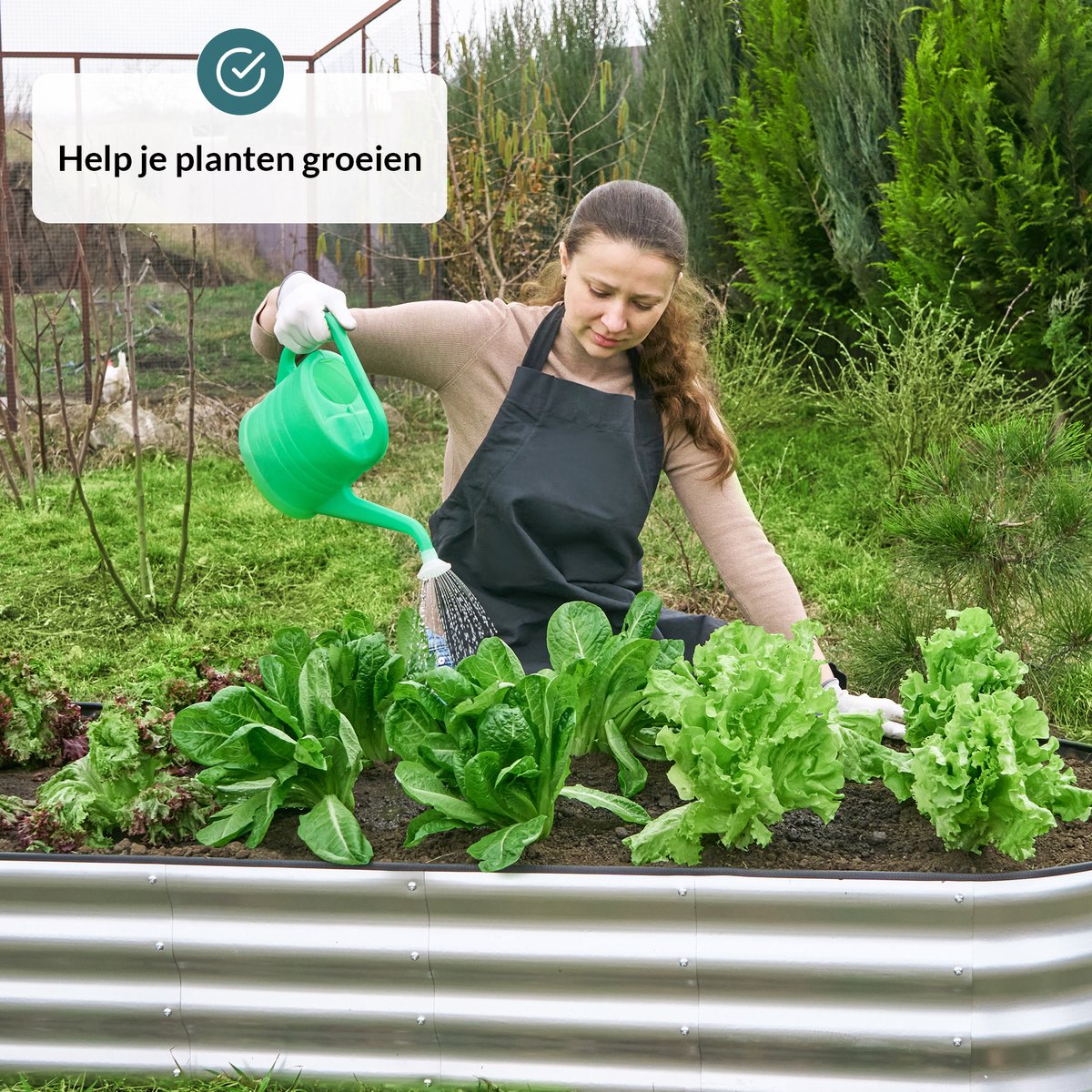 Moestuinbak Bodem - De 10 beste van mei 2025 - Groen, Tuin & Buiten