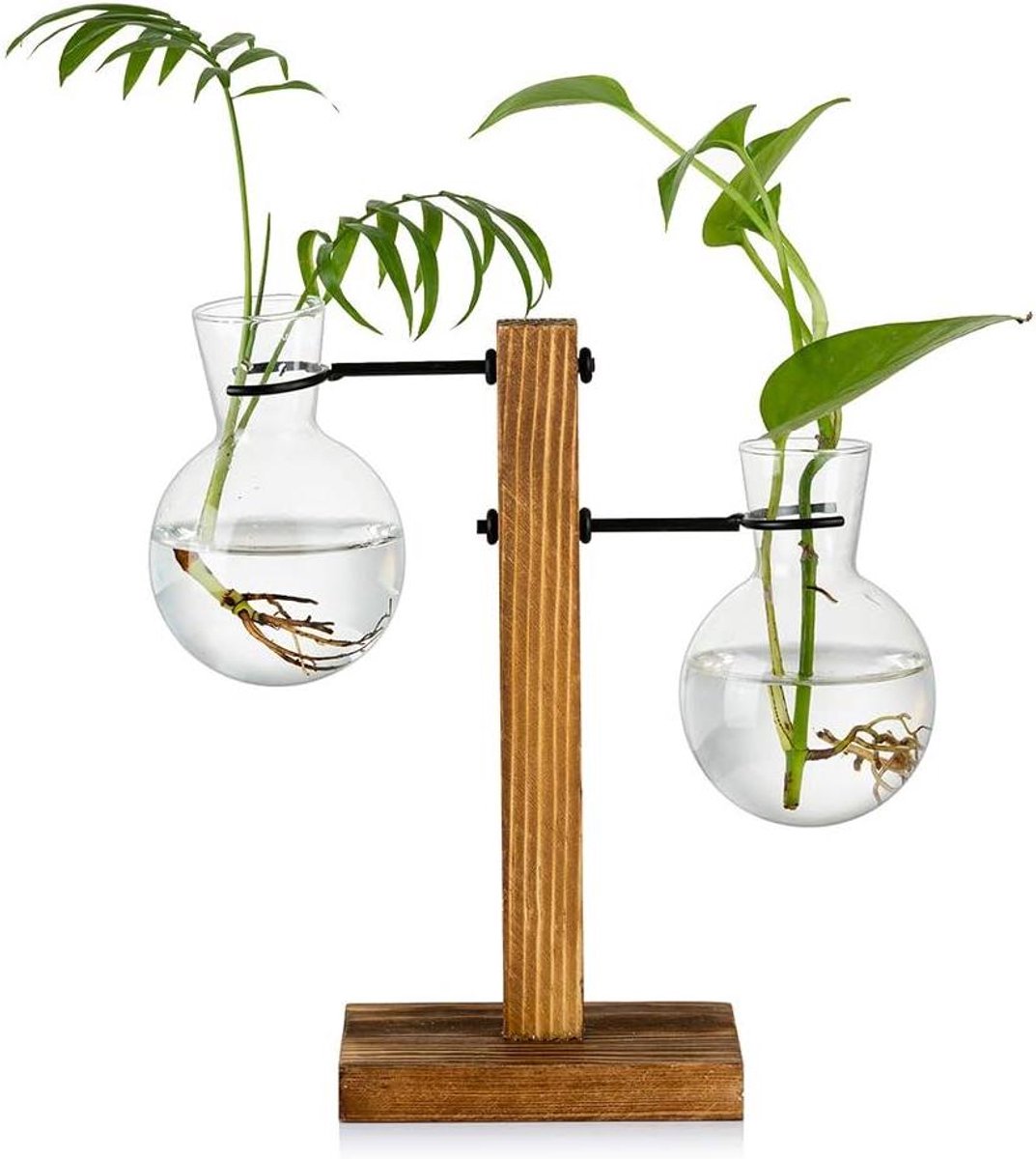 Houten Rek 2 Lamp Vintage Avocado Vaas Glazen Reageerbuis Vazen Voor Bloemen Acorn Plant Voor Thuis Tafel Bureau Indoor Decor - Voortplanting Station