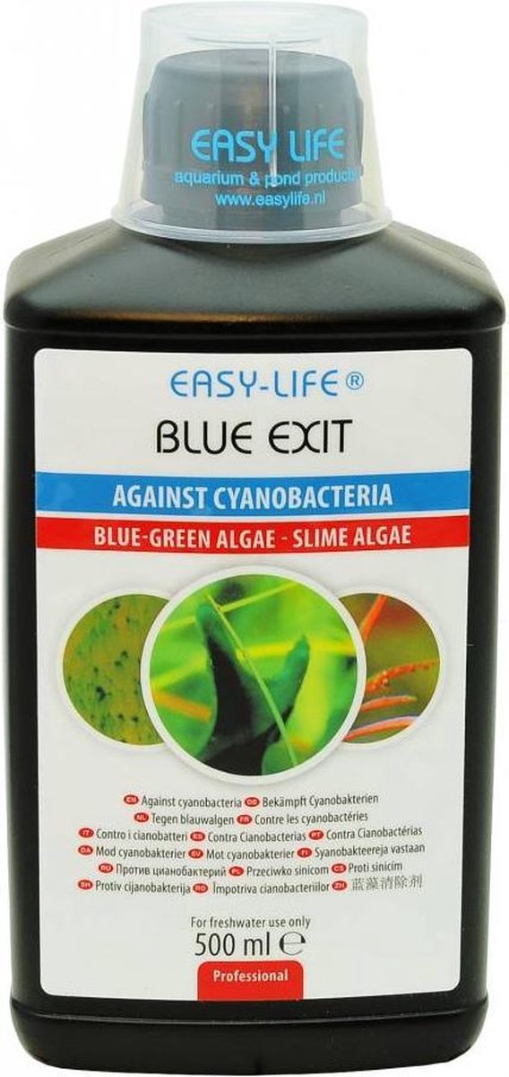 gemakkelijk te kwetsen Manuscript geest Easy life blue exit - 1 st à 500 ml | bol.com