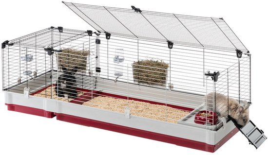 Twee konijnen, een zwarte en een grijze, in een kooi buiten.