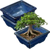 Keramische bonsai kom in verschillende maten - wit - hoogwaardige bloempot met schotel/schaal - gevlamd voor binnen en buiten, ovaal - indoor / outdoor (15 cm