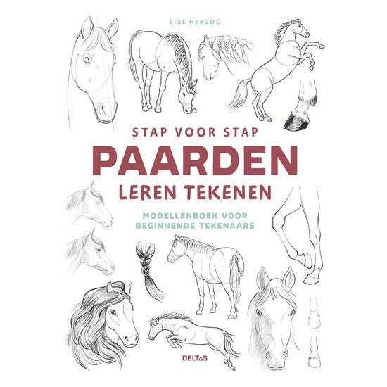 Stap voor stap paarden leren tekenen - cover