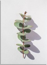 DesignClaud Eucalyptus blad tak abstract - Botanische poster A3 + fotolijst wit