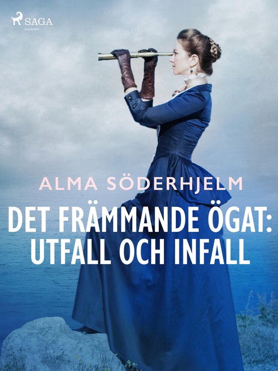 Det främmande ögat: utfall och infall - cover