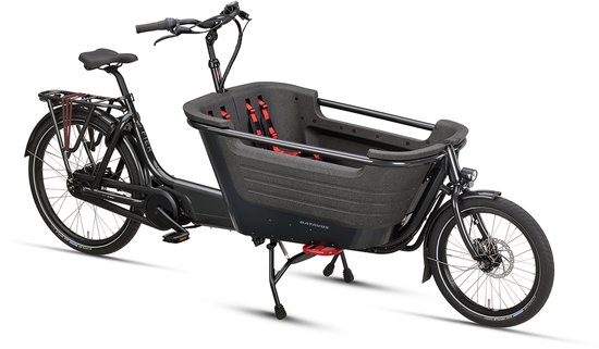 Batavus