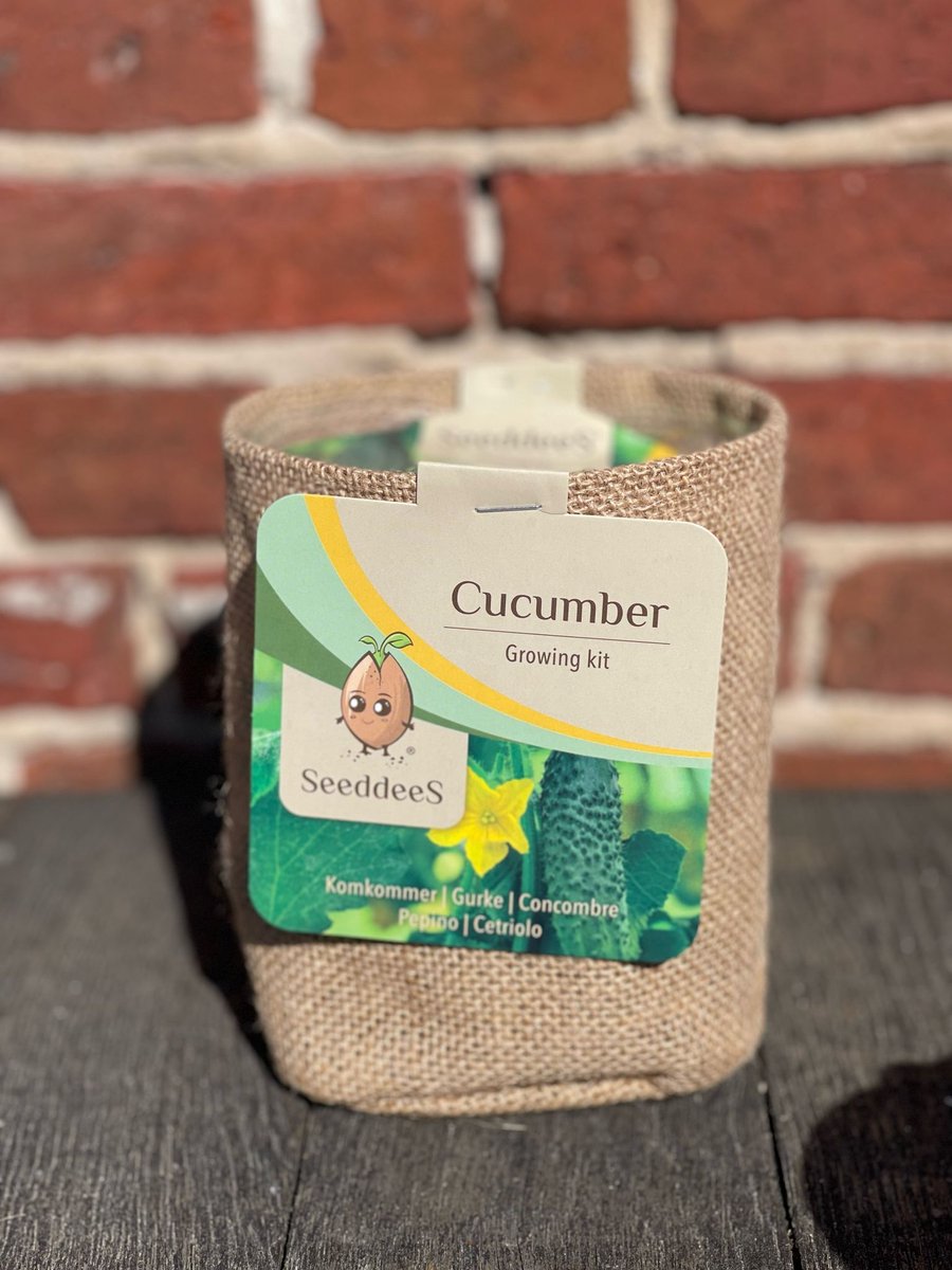 Green gift Jutezak met potgrond en komkommerzaadjes SeeddeeS