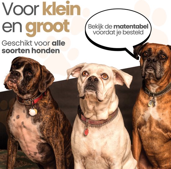 Drie boxershonden kijken naar de camera, één bruin-witte, één witte, één bruine.