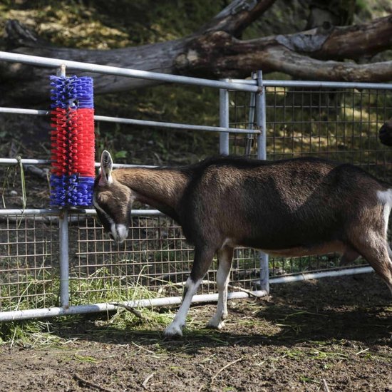 Pakket met 2 producten voor jeuk op het lichaam - Set voor de