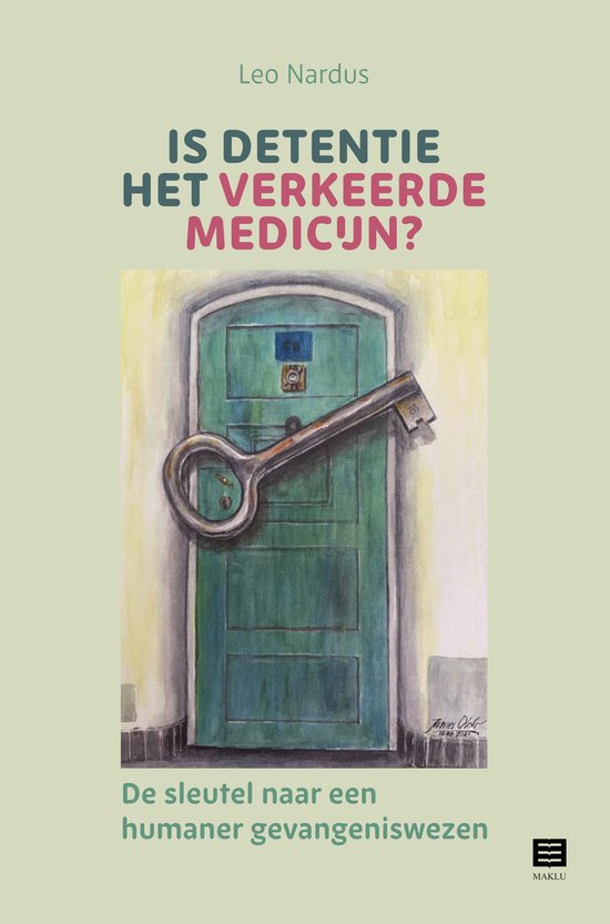 Is detentie het verkeerde medicijn? - cover