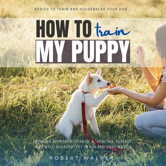 How to Train My Puppy: - cover