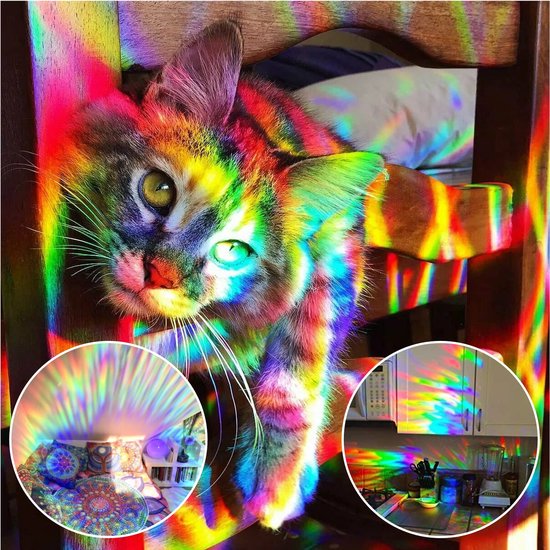 Katten gezicht en lichaam verlicht door regenbooglicht, van raamfolie.