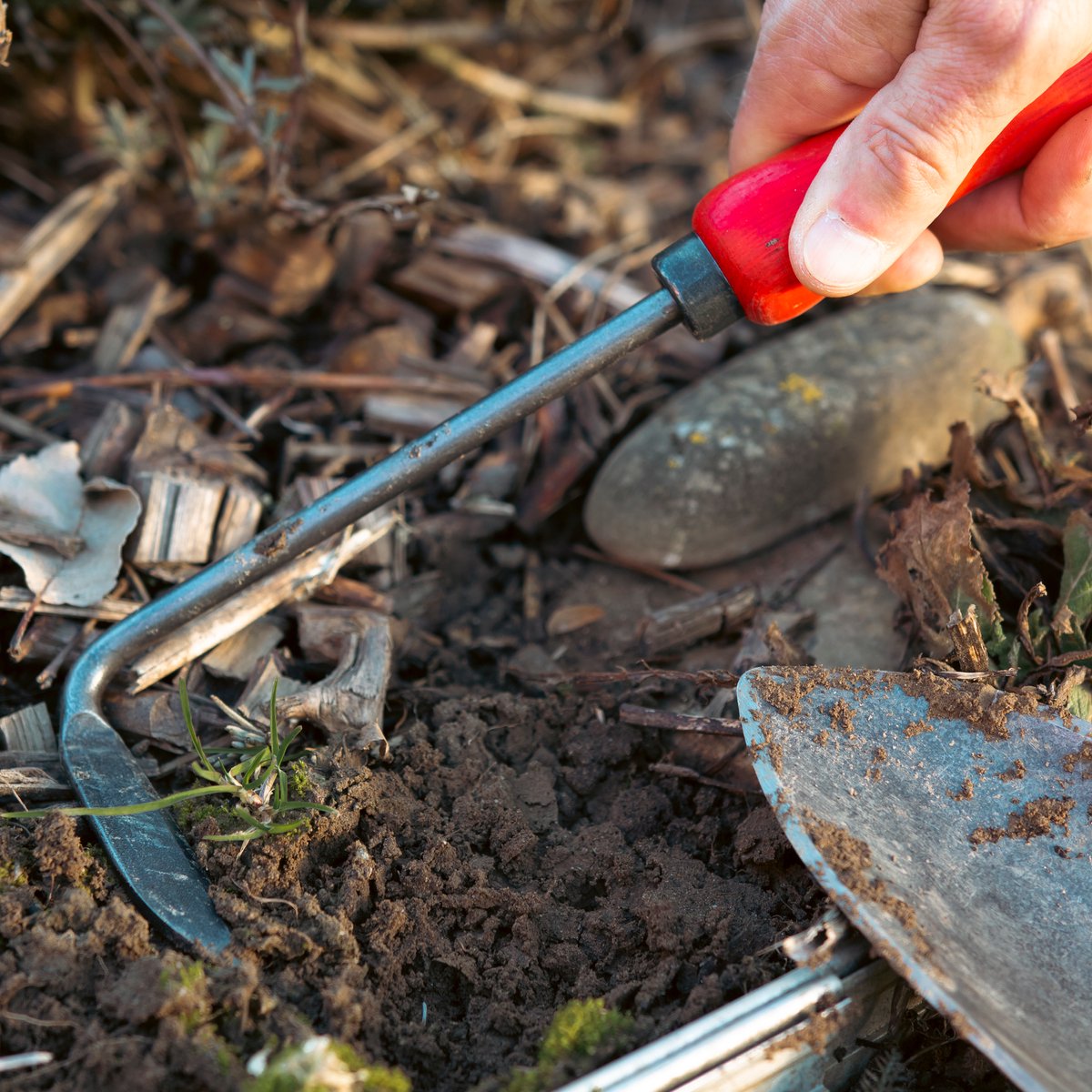 Felco 421 Hand Weeder