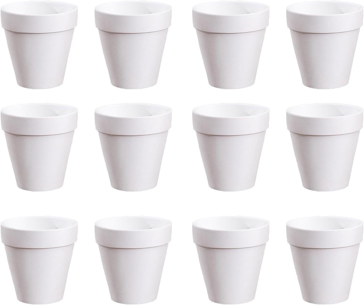 12 Stuks Terracotta Potten Met Drainage Gat voor Sappige Cactus Kwekerij Pot - Wit (5.5 * 5cm)