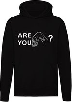 Are you gay? Hoodie - homo - pride - lgbtq - lesbian - trui