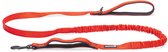 Beeztees Parinca Premium Elastische Hondenriem - Hondenlijn - Weersbestendig - Nylon - Rood - 180cmx25mm