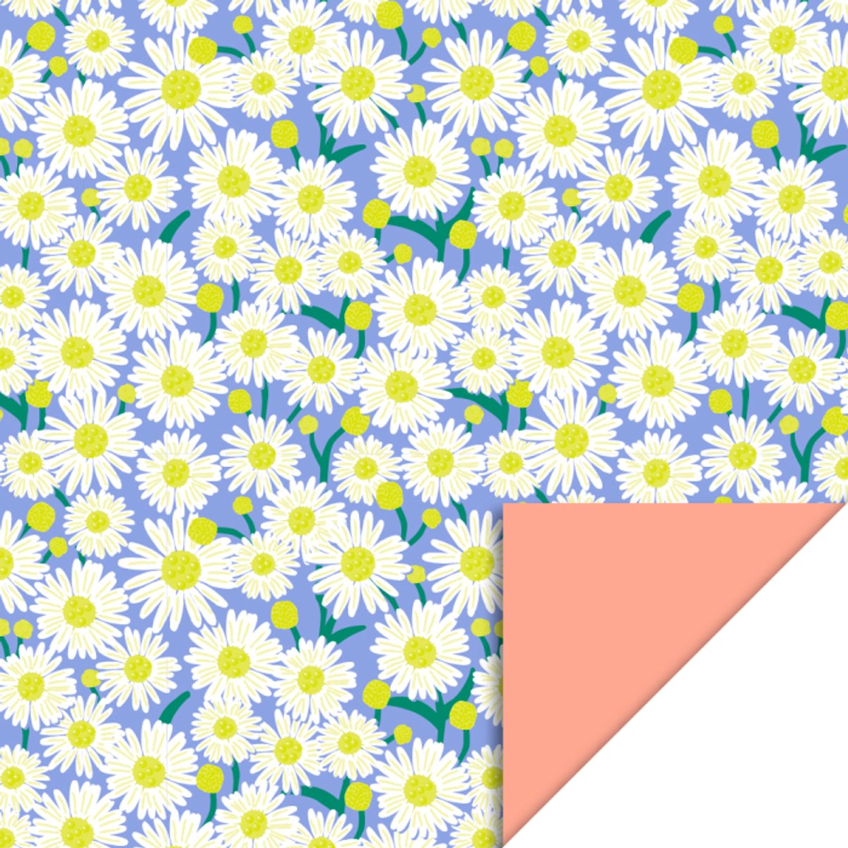 Dubbelzijdig cadeaupapier Daisy- Blauw papier met witte madeliefjes- Achterzijde Zalmroze- 30 cm x 3 meter- Inpakken- Rol Inpakpapier voor kinderen en volwassenen- FSC