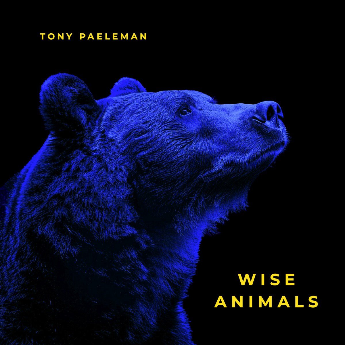 Tony Paeleman - Wise Animals (CD)