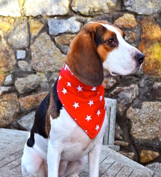 Leuke labrador hond bandana grote verstelbare hondensjaal driehoek slabbetjes dubbele omkeerbare hoofddoek wasbare dagelijkse zakdoek voor middelgrote grote hond puppy kat cadeau