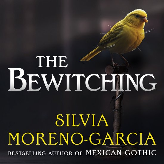 The Bewitching - cover