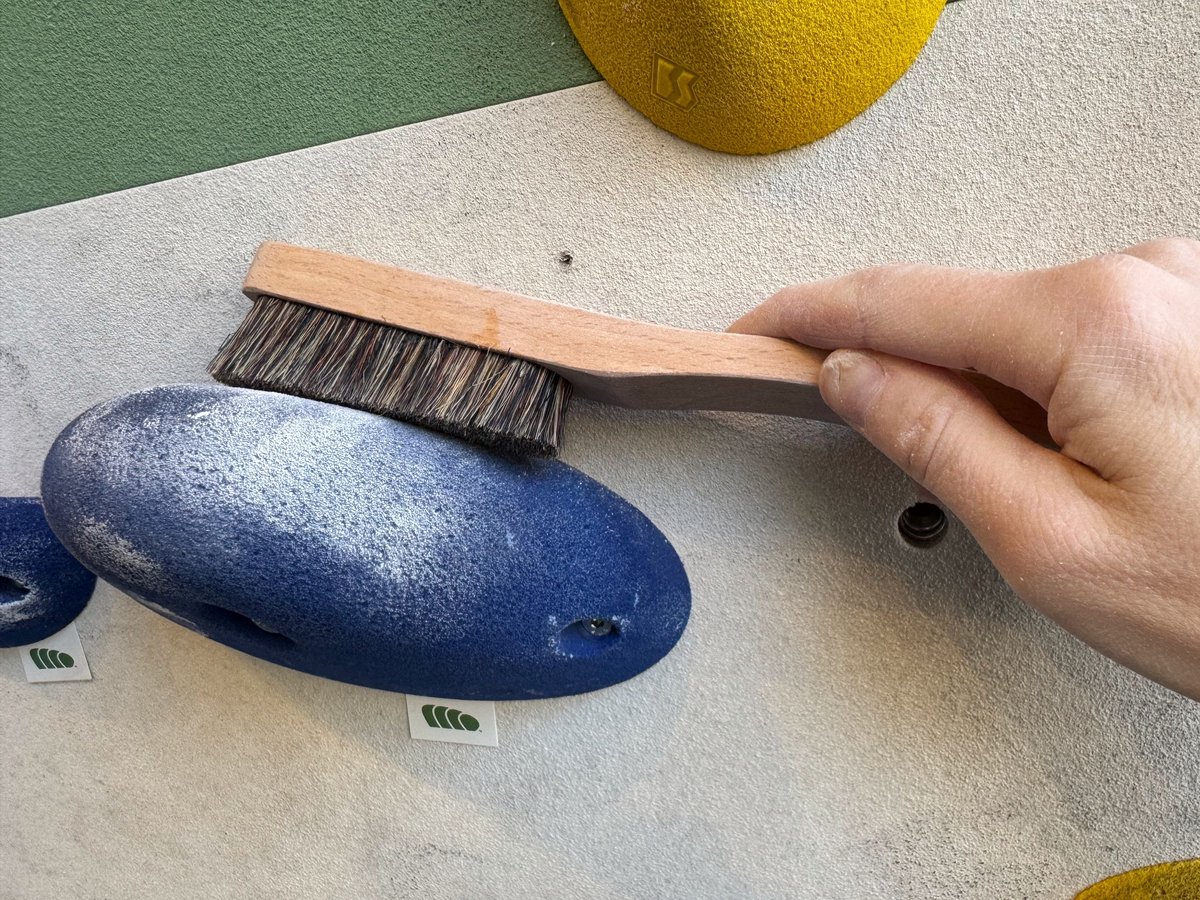 Rustam Climbing Klimborstel GROOT - climbing brush - indoor klimborstel hardhout handvat - boulder borstel - climbing training - dik everzwijnhaar - klim accessoire