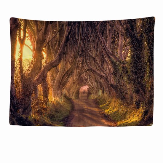 Ulticool - Bomen Bos Mystery Fantasy - Wandkleed - 200x150 cm - Groot wandtapijt - Poster - Bruin