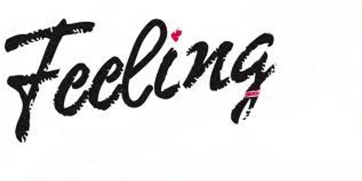 Feeling Bit - Roller 12,5