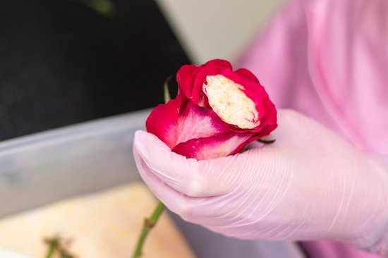 Silica Gel By Floral Stories 4 kg - Silica Zand voor Bloemen Drogen - Droogmiddel met Vochtindicator & Herbruikbaar - 0,2 - 0,5 mm - Fijne korrel Silicagel