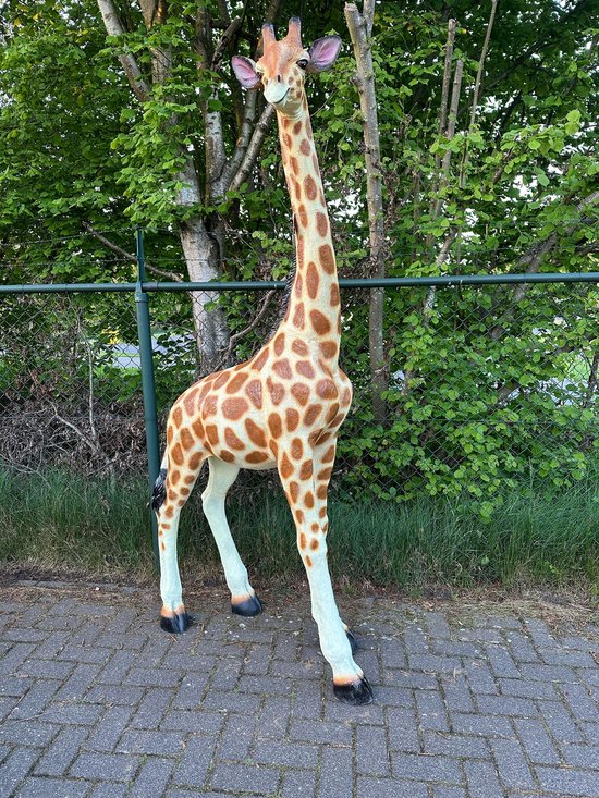 Goodyz- Jungle dieren- Giraf- staand - 225 cm hoog - Orginele kleur
