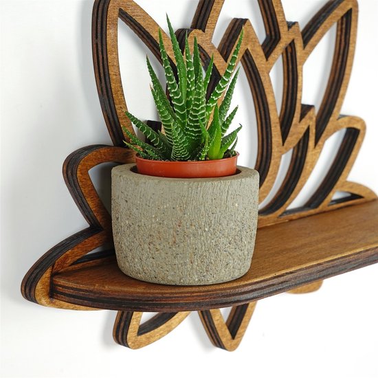 Detail van de houten lotus bloem wandplank, met een succulente plant in een grijze pot.
