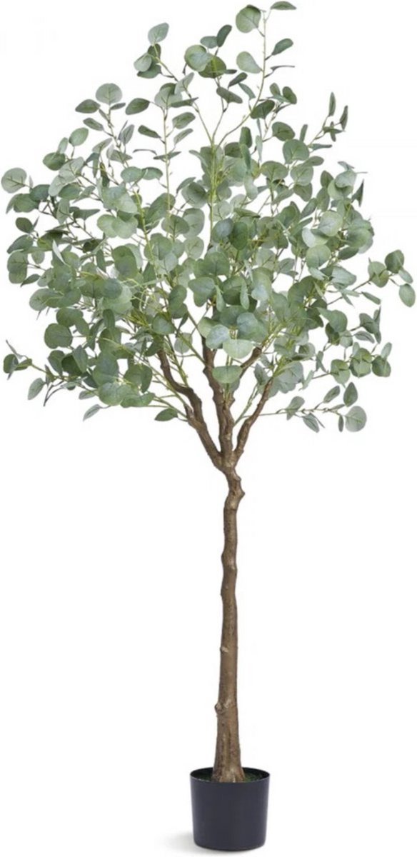Bolt Edge Kunstplant Eucalyptus - Kunstplanten voor binnen en buiten - Palmboom - In pot - Kunstbloemen - Geurloos 80x80x181 cm Black