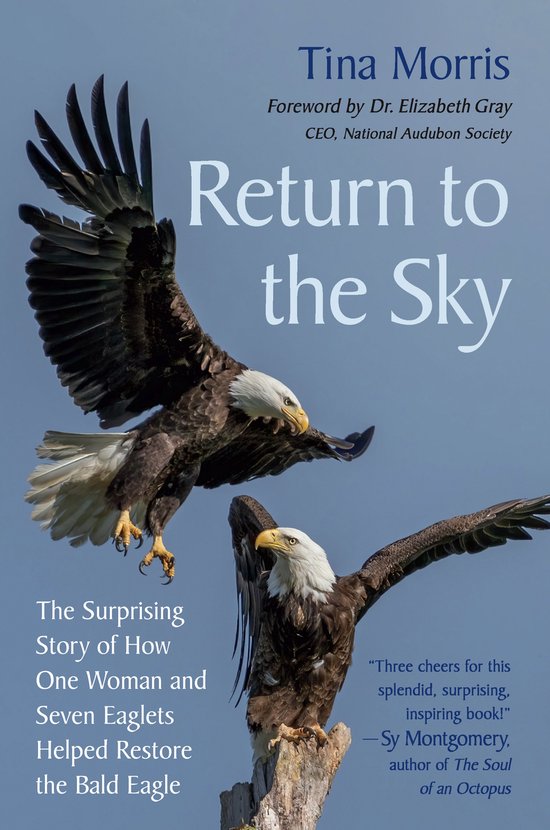 Boek 'Return to the Sky' met twee adelaars, één zwevend en één zittend op een tak. Beschrijft hoe een vrouw en zeven adelaars de Amerikaanse zeearend hielpen herstellen.