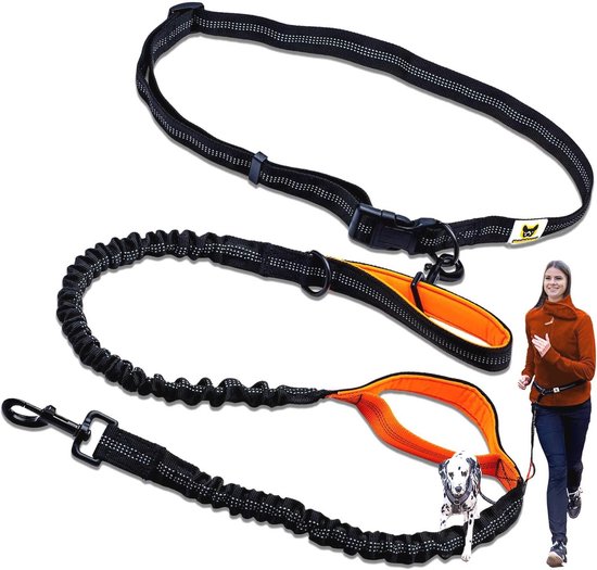 All 4 Pets Supply reflecterende hondenriem - 3 Meter