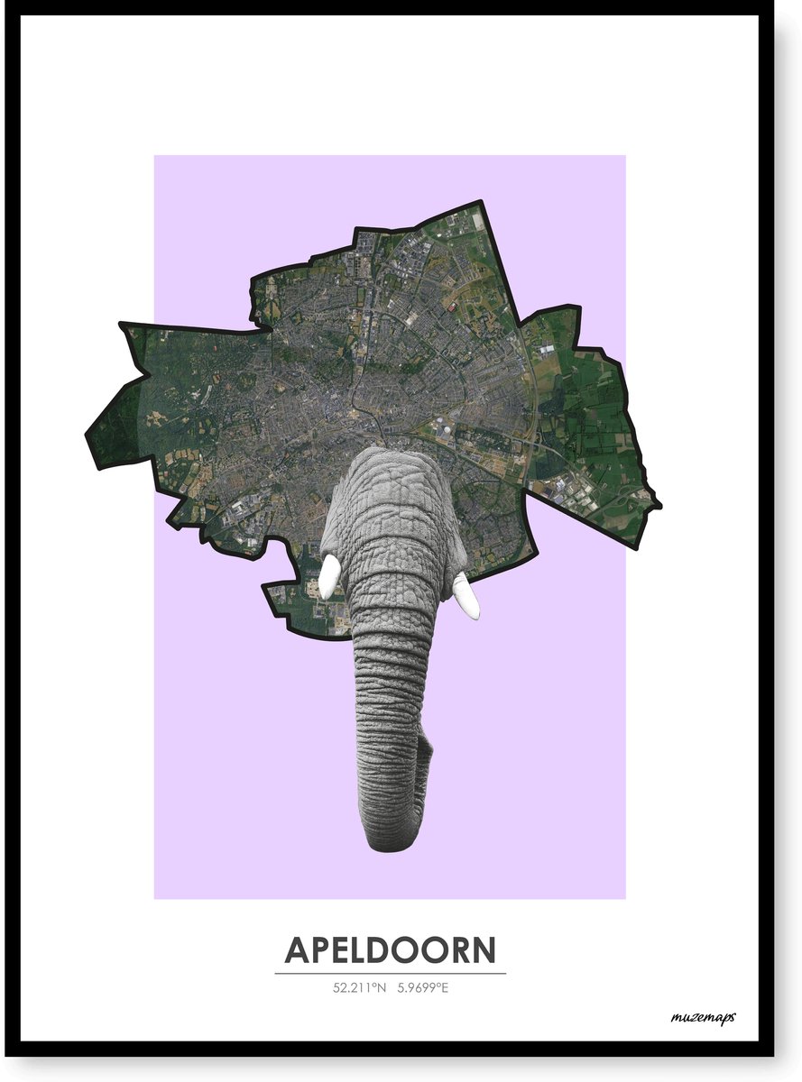 Poster Apeldoorn - Handgemaakte stadskaart - Pop-Art Design - B2 (50 x 70 cm) - MuzeMaps