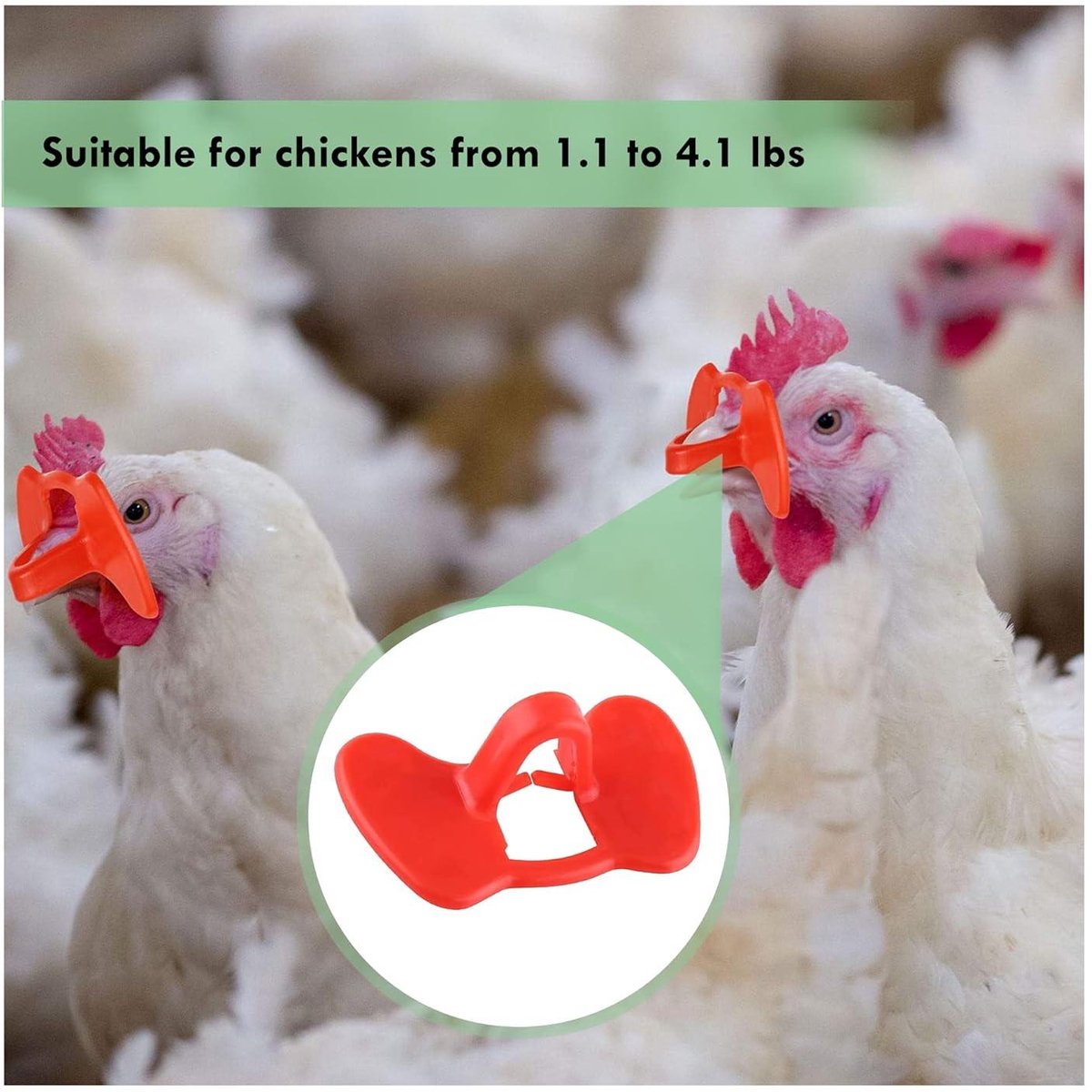 Lunettes Anti-Picage Volaille - Lot De 20 - Avec Aiguille - Pour Poules, Jeunes Oiseaux Et Faisans