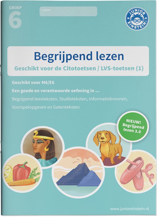 Begrijpend lezen Groep 6 Oefenboek (1) - cover