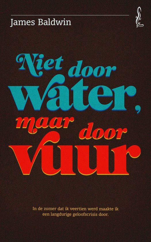 Salamander 34 - Niet door water, maar door vuur - cover