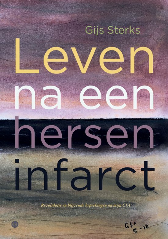 Leven na een herseninfarct - cover