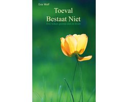Toeval bestaat niet