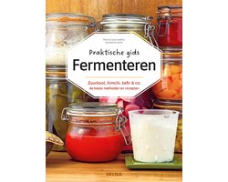 Praktische gids Fermenteren