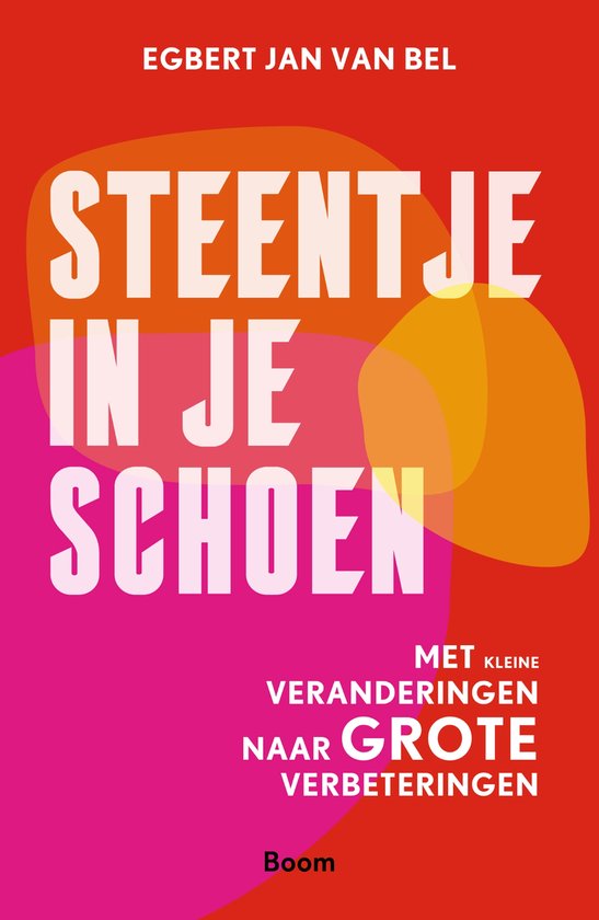 Steentje in je schoen - cover