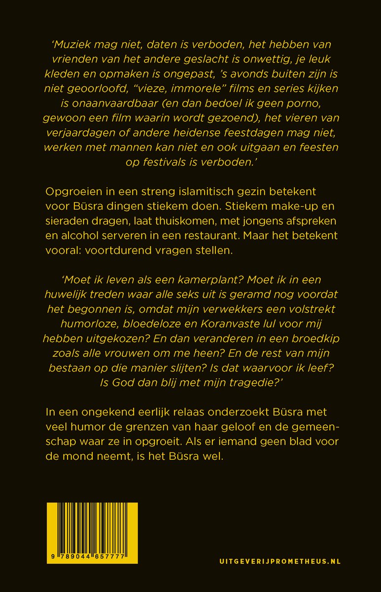 Boekomslag met gele streep onderaan en tekst in het Nederlands.