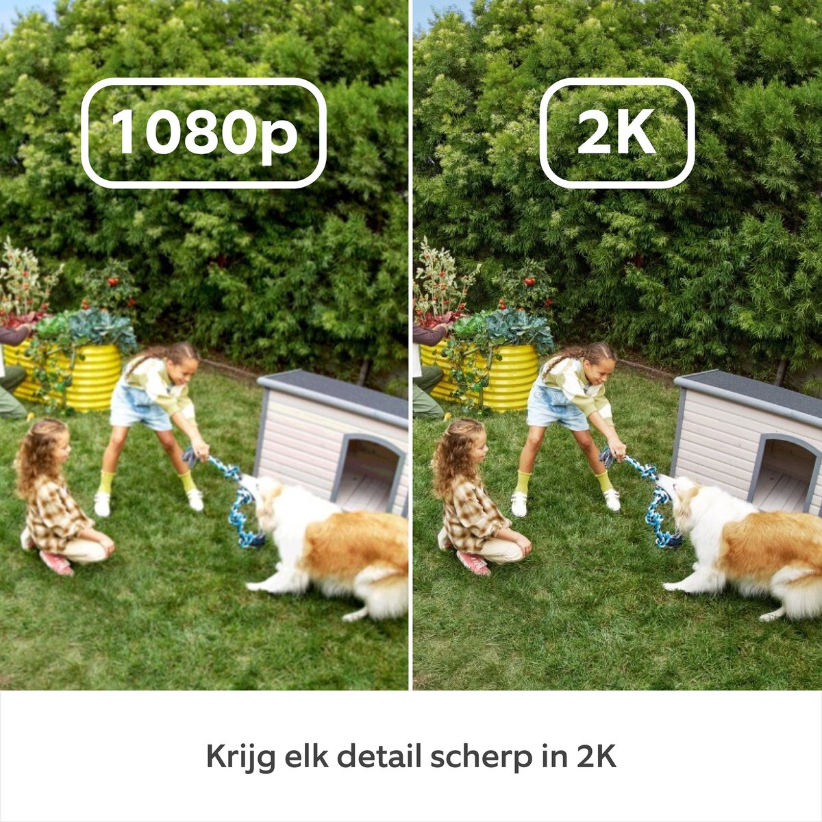 Ring Outdoor Camera Plus - batterij - wit- buitencamera - 2k – foto 7