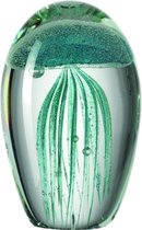 Leonardo Jellyfish - Turquoise - H11 cm