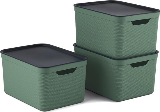 Lot de 3 boîtes de rangement Rotho Jive 16 l avec couvercle, plastique (PP recyclé), vert/anthracite, 3 x 16 (35 x 25 x 20 cm)