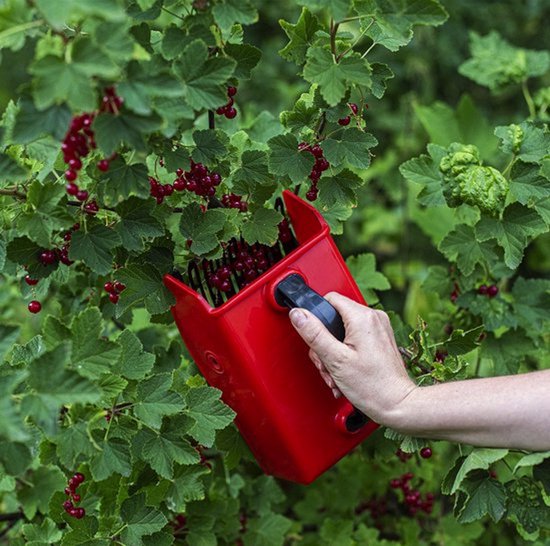 Ferrarium bessenplukker met metalen kam - Voor Blauwe Bessen, Bramen & Rood Fruit - Handige Fruitplukker 22x13,5x12 cm - Ideaal voor Oogst & Tuin van Ferrarium — afbeelding 2