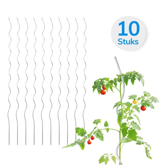 Tien zilverkleurige, spiraalvormige plantensteunen, naast een tomatenplant met rode en gele tomaten.